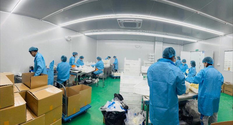 工业自动化:推动制造业转型升级